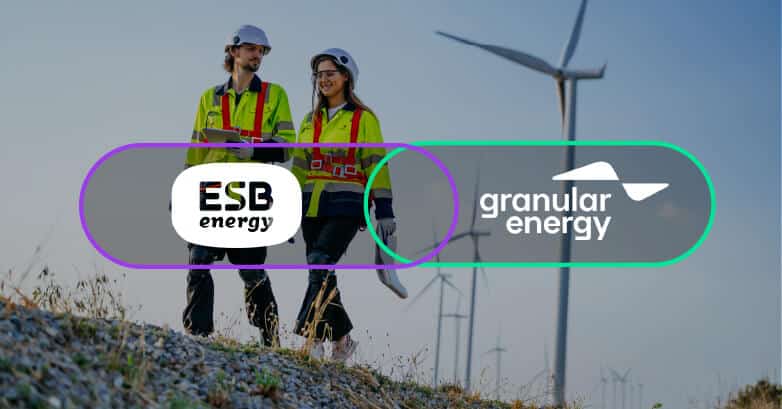 ESBGranular-impact ESB and Granular Energy