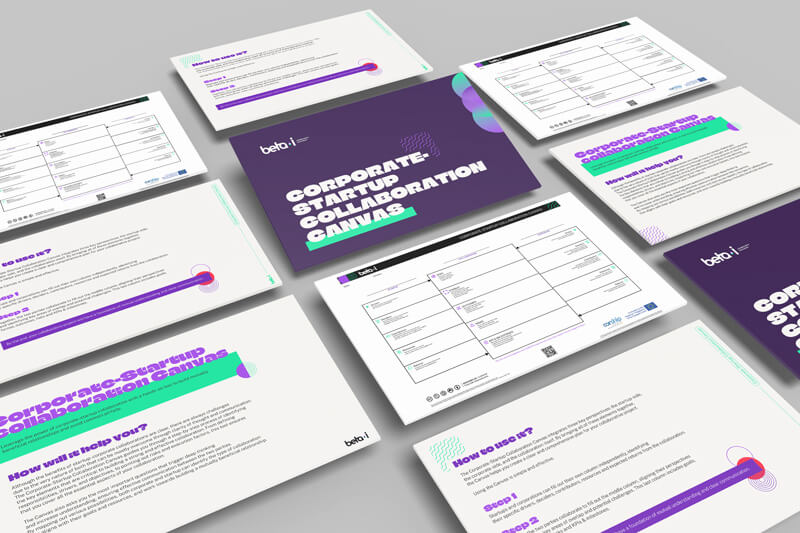 Resource_Corporate-Startup_Collaboration2 Corporate Startup Collaboration Canvas